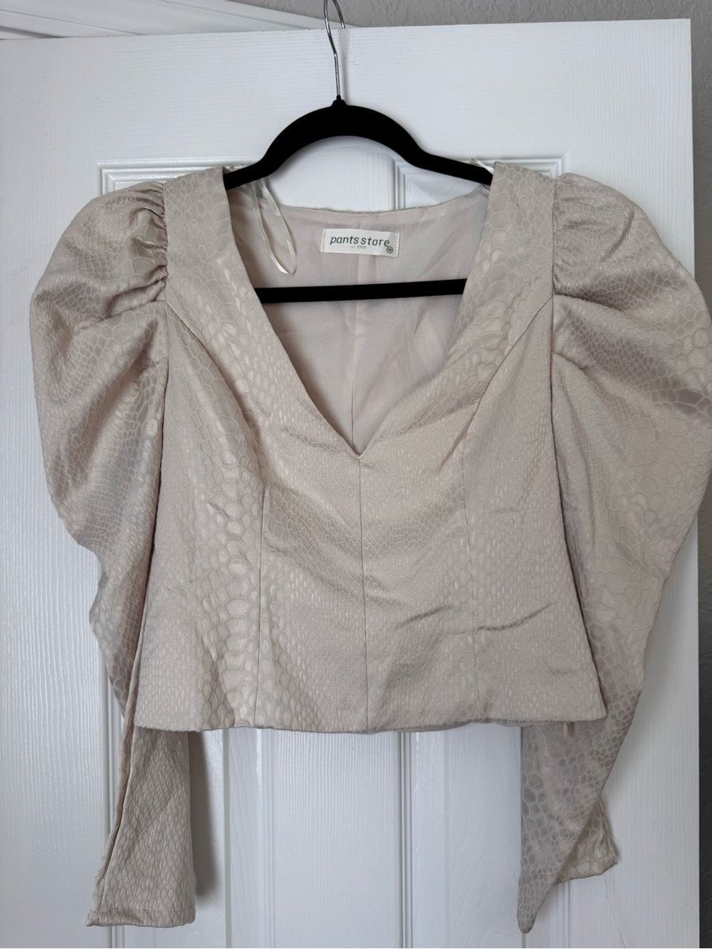 Pants Store Cream Puff-Sleeve V-Neck Blouse